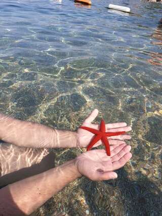 Апартаменты ZEN Apartment Pržno Свети-Стефан Апартаменты с 1 спальней-85