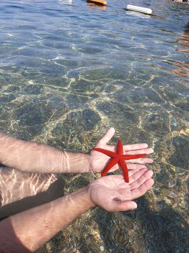 Апартаменты ZEN Apartment Pržno Свети-Стефан-5